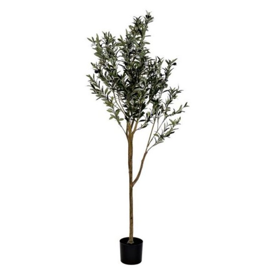 Arbre DKD Home Decor Décoratif (75 x 180 cm)