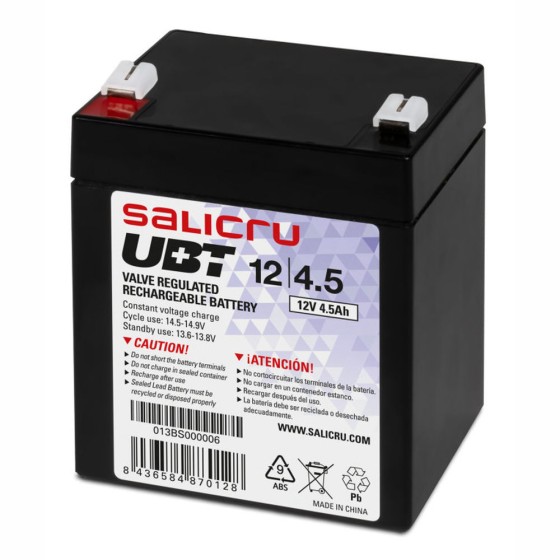Batterie pour SAI Salicru...