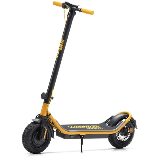 Trottinette Électrique...