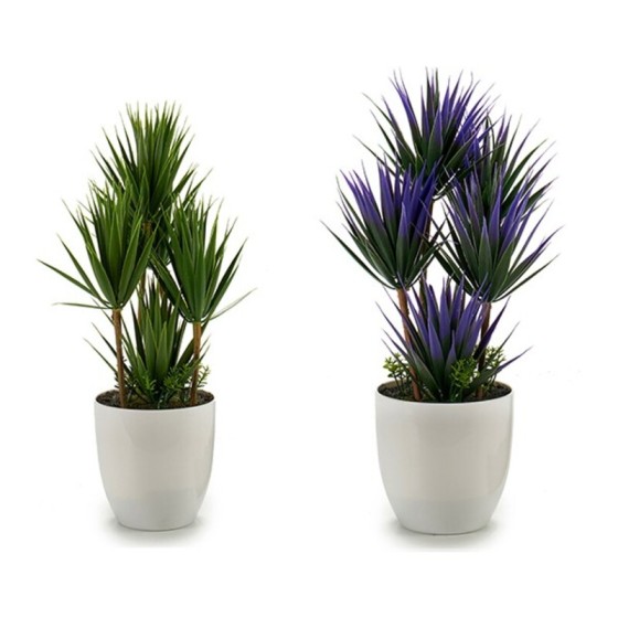 Plante décorative Palmiers...