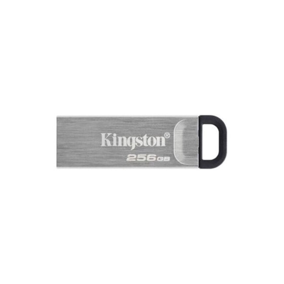 Pendrive Kingston DTKN/256GB USB 3.2 Argent 256 GB