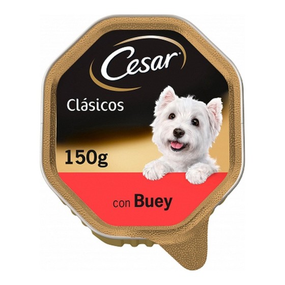 Alimentation humide Cesar...