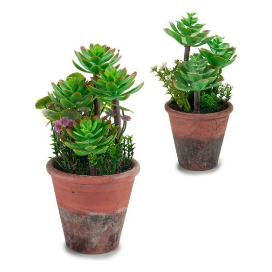 Plante décorative (14 x 20 x 14 cm)