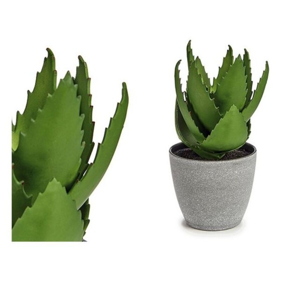 Plante décorative Aloe Vera Plastique (14 x 23 x 14 cm)