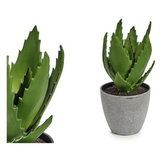 Plante décorative Aloe Vera Plastique (14 x 20 x 14 cm)