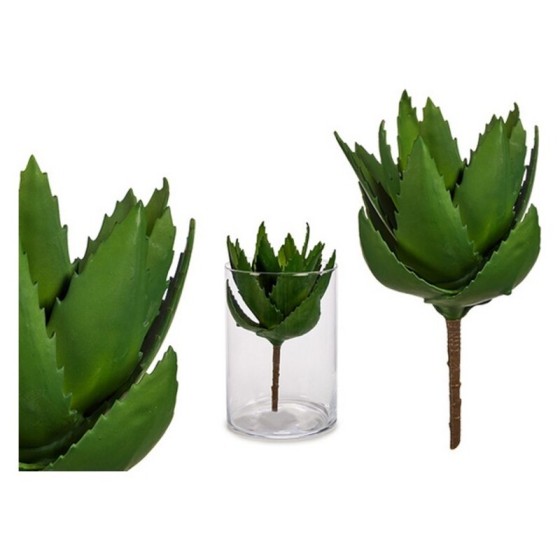 Plante décorative Aloe Vera (14 x 23 x 14 cm)
