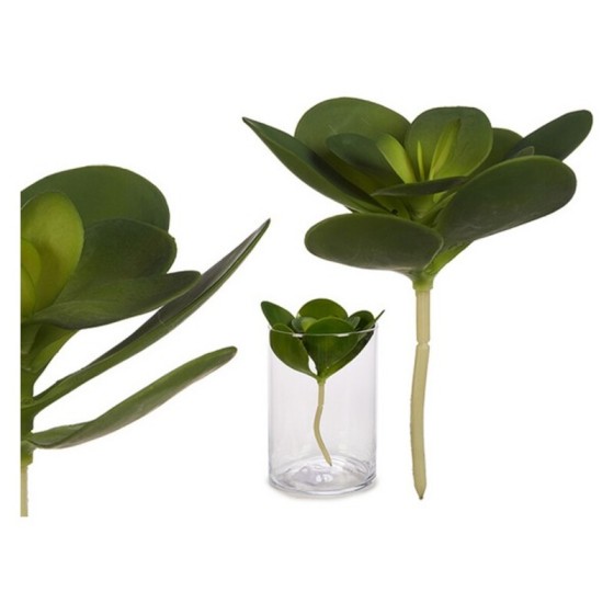 Plante décorative Ronde Volet (16 x 25 x 16	 cm)