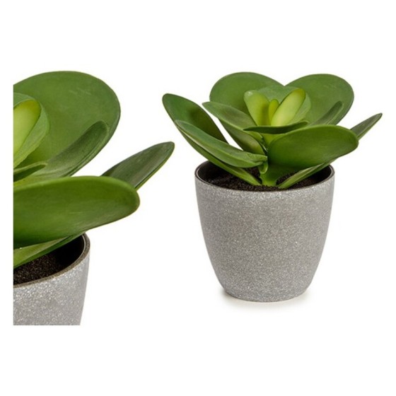 Pot Volet Grand Ronde Plante Vert Plastique (17 x 21 x 20 cm)