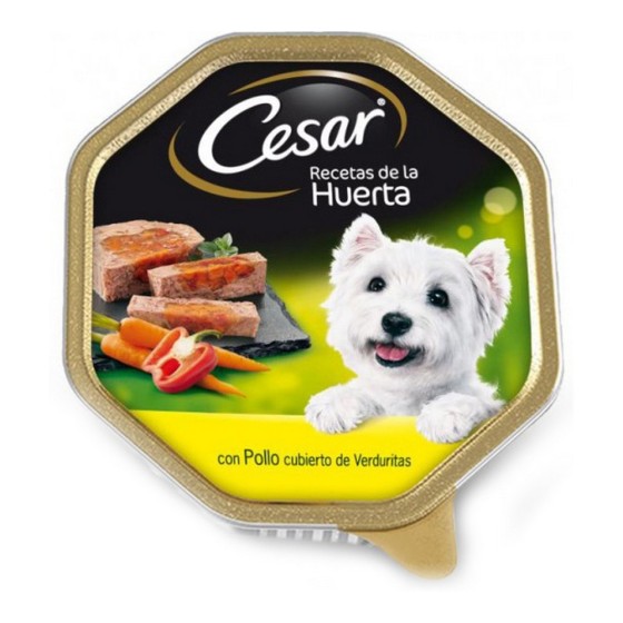 Repas pour chien Cesar...