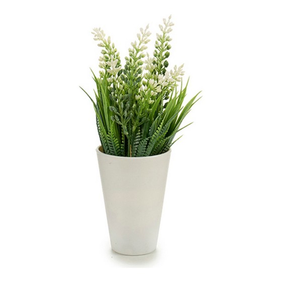 Pot Plante décorative Plastique (10 x 22 x 10 cm)