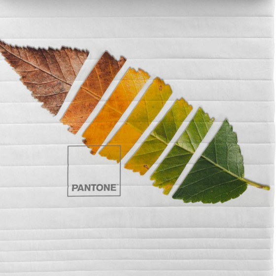Couvre-lit Leaf Pantone