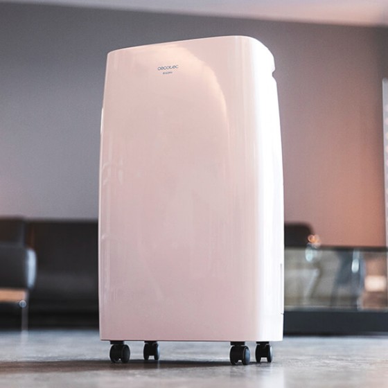 Déshumidificateur Cecotec BigDry 4000 Expert 2,5L