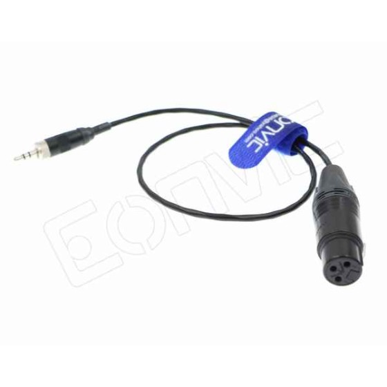 Câble audio Jack 3,5 mm XLS Prise Femelle (Reconditionné A+)