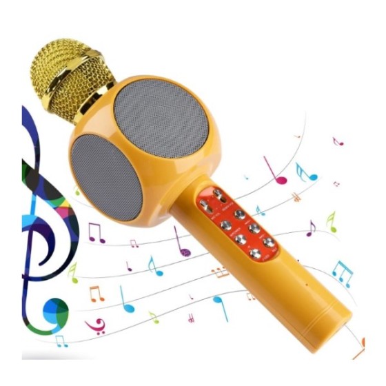 Microphone Karaoké...