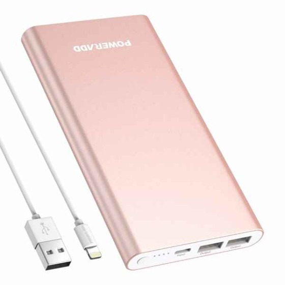 Power Bank Rose Pilot 4GS (Reconditionné C)