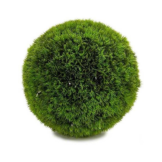 Plante décorative Vert...