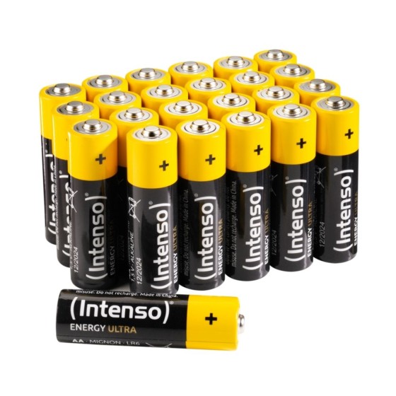 Batteries INTENSO 7501824
