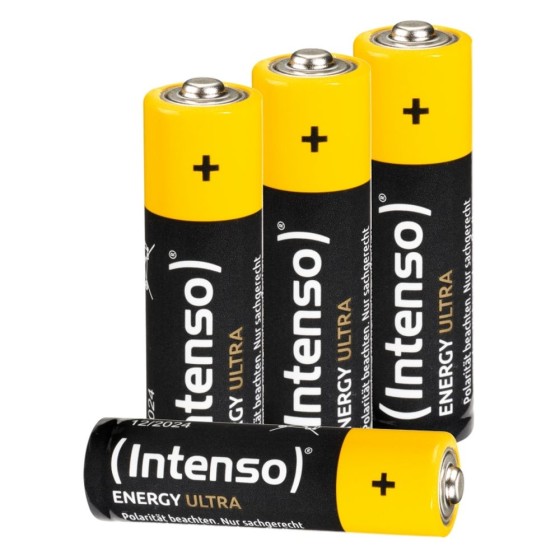 Batteries INTENSO 7501424