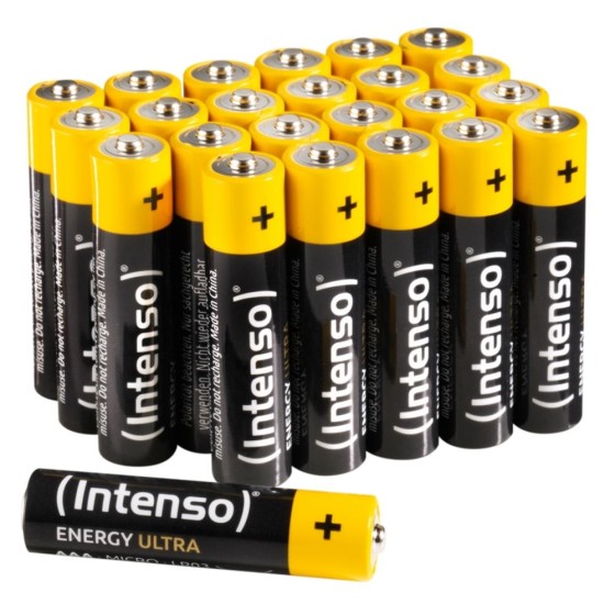Batteries INTENSO 7501814